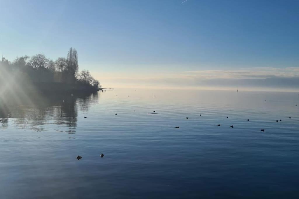 Le Grand Rue Lägenhet Thonon-les-Bains Exteriör bild